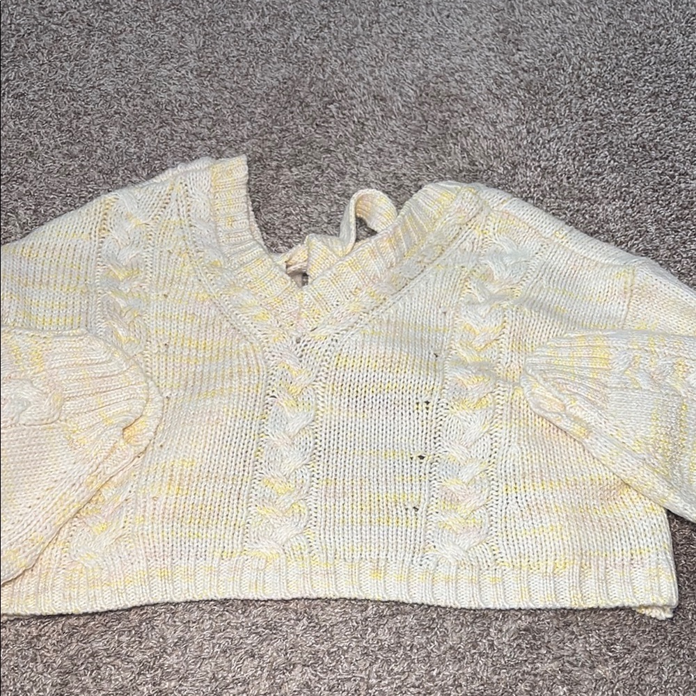 Altrd state cropped open back sweater
